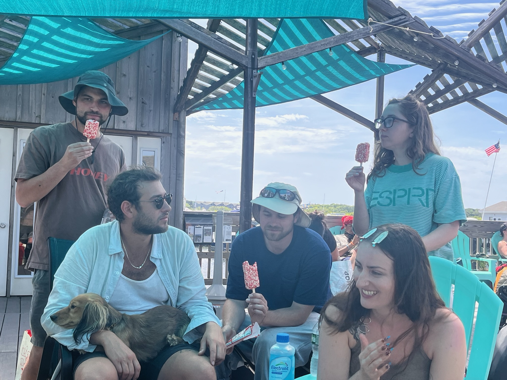 Fire Island 2026